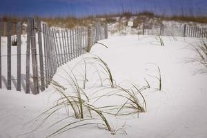 Sand Dunes and Fence at the Beach photo