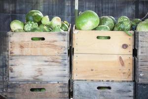 Fresh Fall Gourds and Crates in Rustic Fall Setting photo
