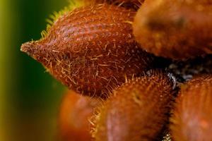 Closeup of salak or snake fruit on wooden table photo