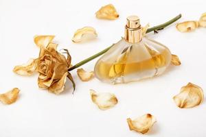 Vial of perfume and dry rose flower photo