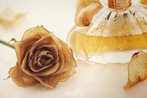 Vial of perfume and dry rose flower photo