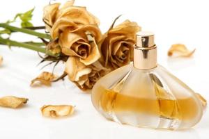 Vial of perfume and dry rose flower photo