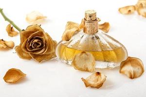 Vial of perfume and dry rose flower photo