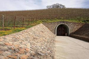 Vineyard Hillside with Cellar Entry and Trees photo