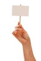 Woman Holding Blank White Sign Isolated on White photo