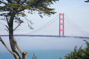 el puente golden gate en la niebla de la mañana, san francisco foto