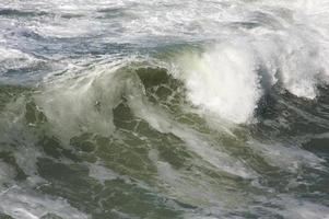 Rough Pacific Ocean Waves photo