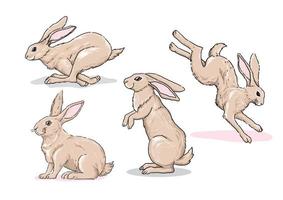 collection of hand drawn Cute Rabbit Illustration vector