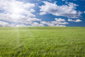 Green Grass Field, Blue Sky and Sun photo