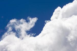 White Cumulus Clouds photo