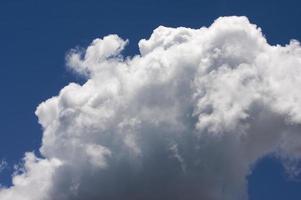 White Cumulus Clouds photo