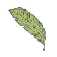 ilustración de vector de garabato de hoja tropical