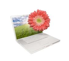 Silver Computer Laptop Isolated with Gerber Daisy photo