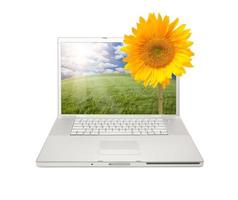 Silver Computer Laptop Isolated with Sunflower photo