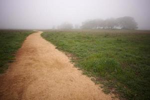 Foggy Countryside and Oak Trees photo