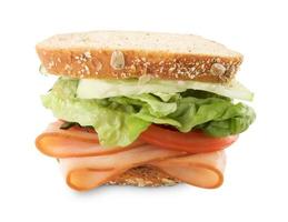 Hearty Sandwich Isolated on White photo