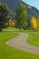 Aspen Golf Course with Pines photo