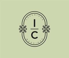 IC Initials letter Wedding monogram logos template, hand drawn modern minimalistic and floral templates for Invitation cards, Save the Date, elegant identity. vector