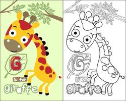 vector of coloring book or page with funny giraffe cartoon