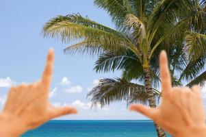 Hands Framing Palm Trees and Tropical Waters photo