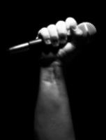 Gray Scale Vertical Microphone in Fist photo