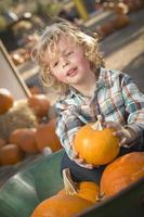 niño pequeño sentado y sosteniendo su calabaza en el huerto de calabazas foto