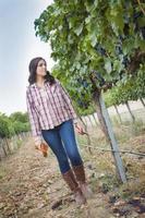 Young Female Farmer Inspecting the Grapes in Vineyard photo