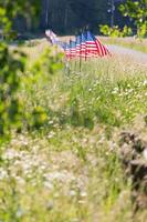Row of American Flags on Fence photo