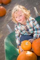 niño sentado en una carretilla junto a sus calabazas en un rancho rústico en el huerto de calabazas. foto