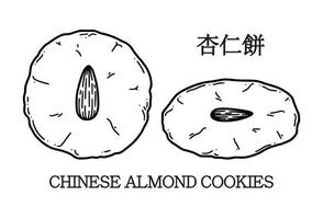 Translation from Chinese almond cookies vector illustration. Chinese New year dessert almond biscuit in doodle style.