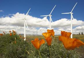 Wind Turbines Against Dramatic Sky and California Poppies photo