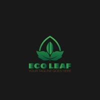 eco leaf logo vector