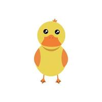 Yellow baby duck abstract vector