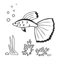 A fish with a big tail vector