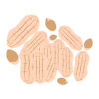 nuts peanut healthy food snacks collection set png