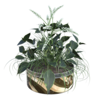 3D-Blume auf Topf png