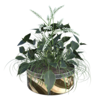 3d flower on pot png