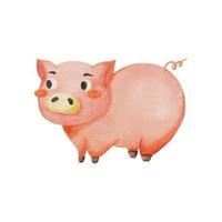 Watercolor Pig Farm Animals Graphics vector