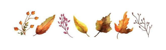 Watercolor Realistic Autumn Leaves Collection 05 vector