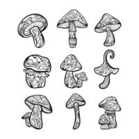 Scandinavian Mushroom Lineart Cottagecore Vector Graphics