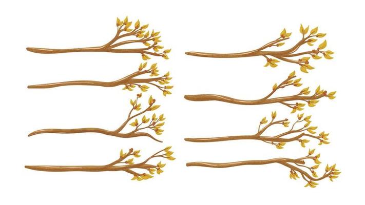 Tree Branches with leaves Graphic Collection