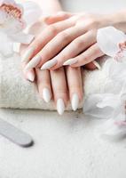 manos de una mujer joven con manicura blanca en las uñas foto