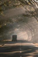 driving through the foggy road photo