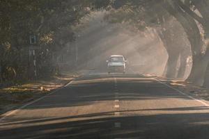 conduciendo por la carretera de niebla foto