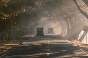 driving through the foggy road photo