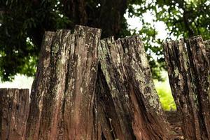 fence of rough boards photo