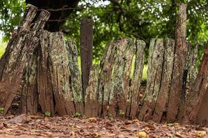 fence of rough boards photo