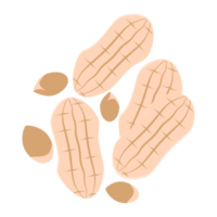 nuts peanut healthy food snacks collection set png