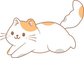 juguetón gatito gatito lindo gato sonrisa png