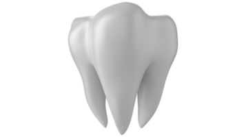 Dientes dentales 3d aislados sobre fondo transparente png